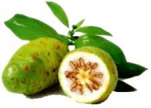 NONI JUICE WITH PRIVATE LABELING FOR MLM AND OTHERS